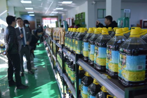 百年榮光 生態洋州 2021全國重點網媒 網絡名人采風團走進洋縣