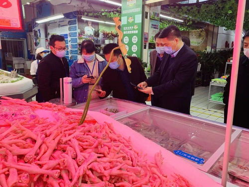 鄭志華副市長(zhǎng)帶隊(duì)檢查主城區(qū)重點(diǎn)場(chǎng)所疫情防控工作