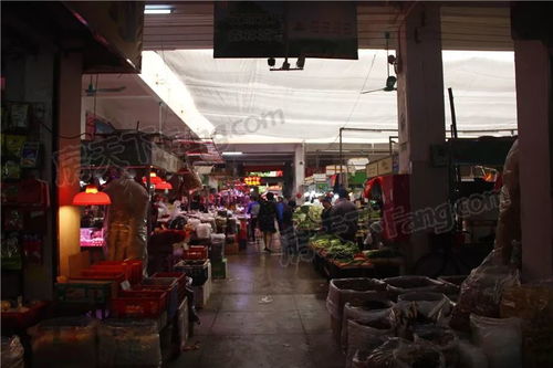 多圖 肇康市場(chǎng)升級(jí)改造,一匯首進(jìn)新會(huì),或迎大牌商家進(jìn)駐