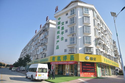 百年榮光 生態洋州 2021全國重點網媒 網絡名人采風團走進洋縣