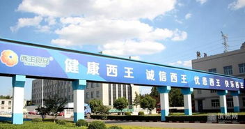 西王食品公司獲評(píng)國(guó)家綠色工廠