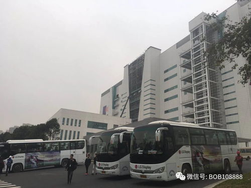 漲工價了 自薦獎勵1100直接帶身份證入職被子枕頭等生活日用品廠里發(fā)