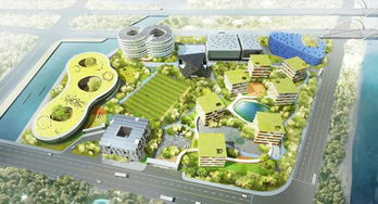 上海三大名校齊聚，銅陵名流超市周邊崛起新教育強(qiáng)區(qū)